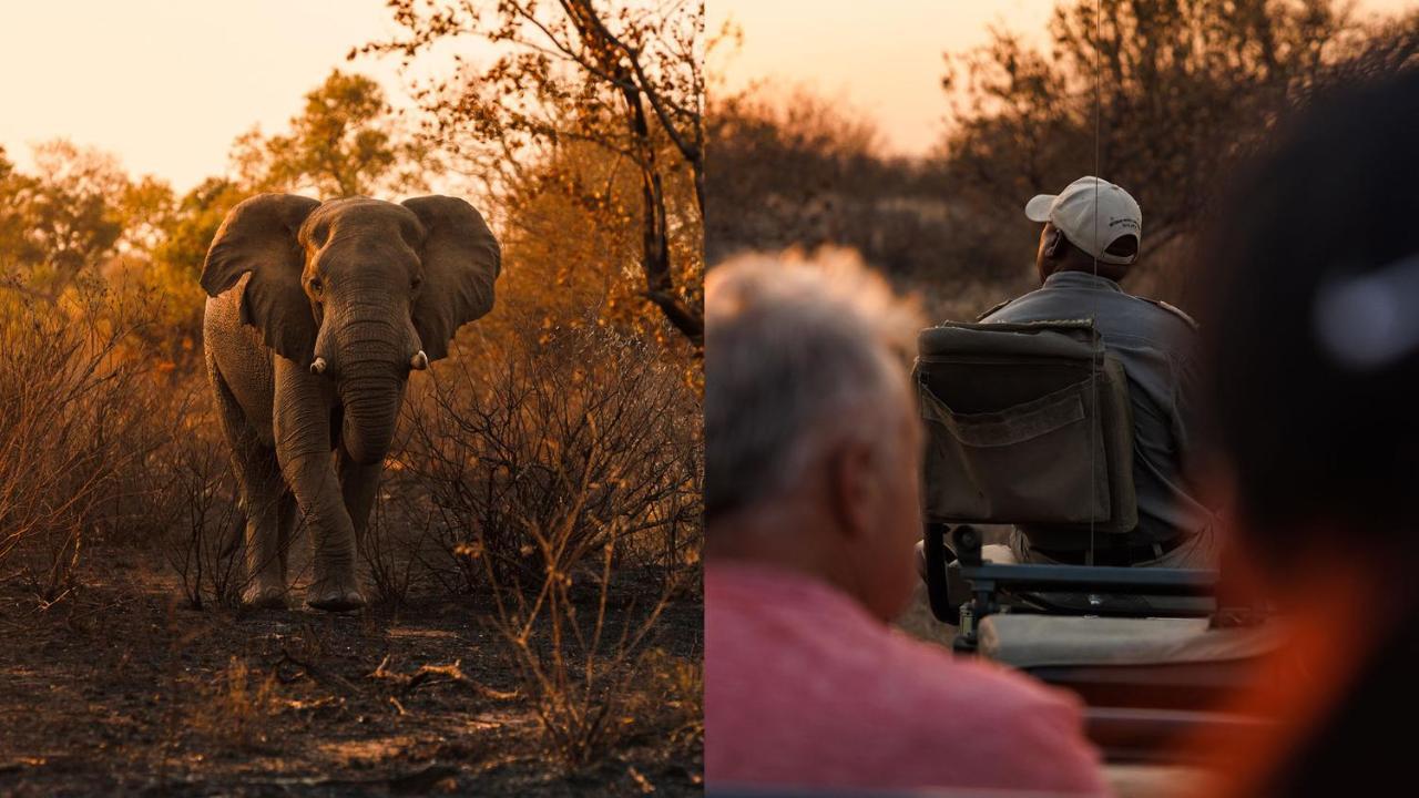 Geiger'S Camp In Timbavati Game Reserve By Newmark 외부 사진