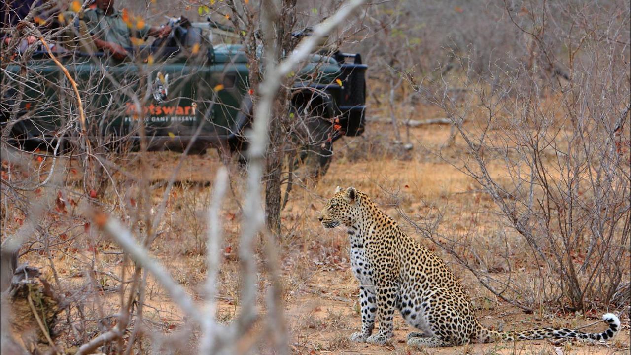 Geiger'S Camp In Timbavati Game Reserve By Newmark 외부 사진