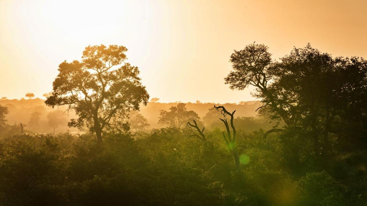 Geiger'S Camp In Timbavati Game Reserve By Newmark 외부 사진