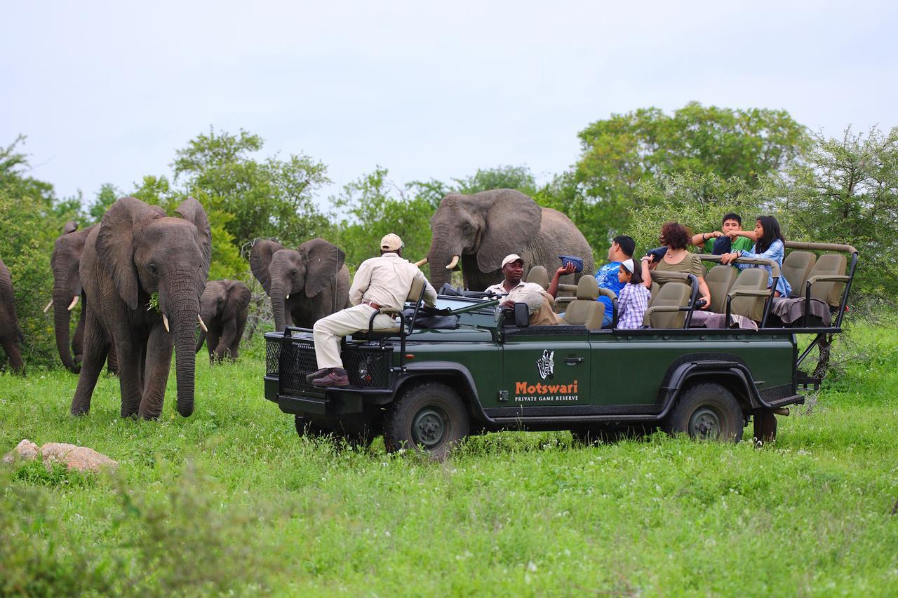 Geiger'S Camp In Timbavati Game Reserve By Newmark 외부 사진